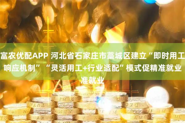 富农优配APP 河北省石家庄市藁城区建立“即时用工响应机制”&#32;“灵活用工+行业适配”模式促精准就业